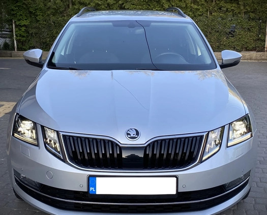 Skoda Octavia cena 73800 przebieg: 116700, rok produkcji 2019 z Świecie małe 667